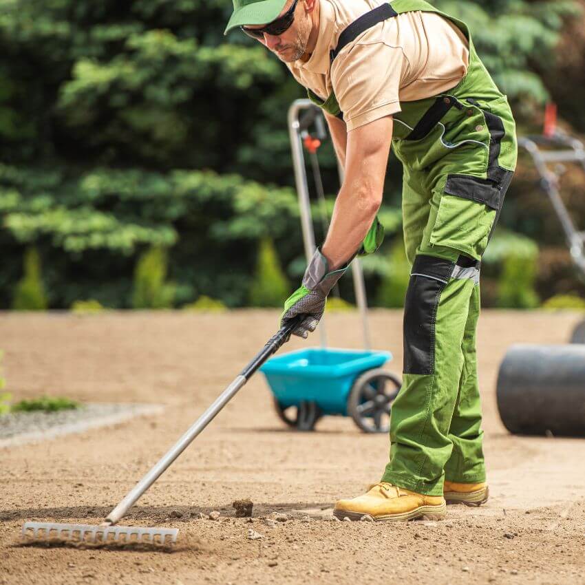 Professional landscape construction